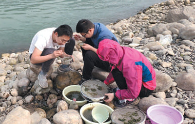 耀世注册：保护生物多样性  呵护长江母亲河（新时代画卷）(图5)