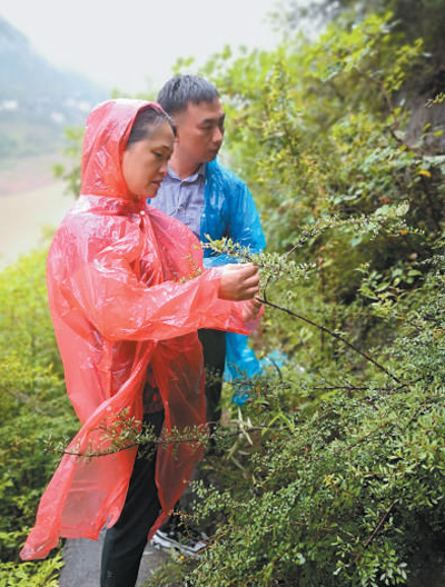 耀世注册：保护生物多样性  呵护长江母亲河（新时代画卷）(图7)