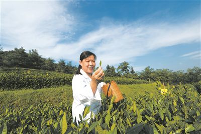 耀世娱乐：“科技合伙人”跃上乡村振兴路(图1)