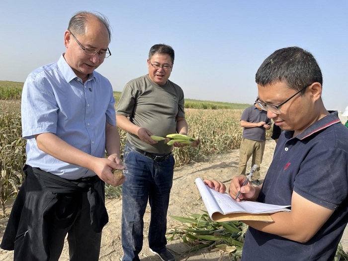 耀世登陆：当年改良增产六成 中国农大新疆盐碱地治理效果显著