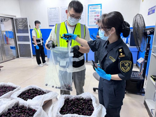 耀世官网：高质量发展调研行｜海陆空口岸“进出”忙 外贸展现勃勃生机(图3)